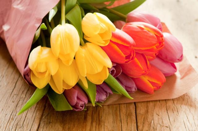 freebies2deals-tulips